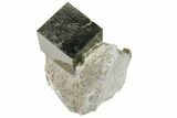 Natural Pyrite Cube In Rock From Spain #82065-1